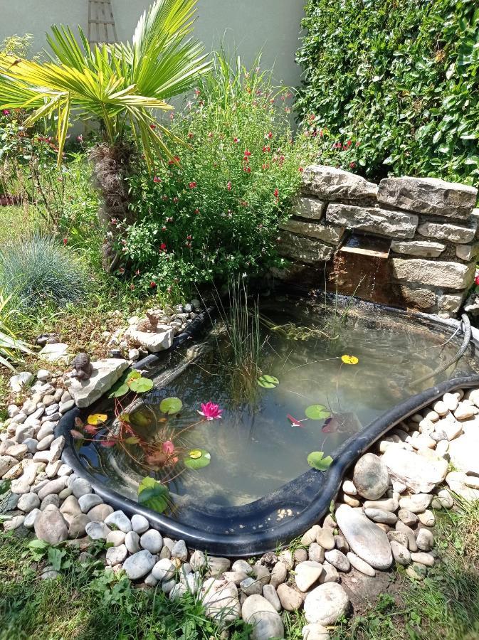 L'Albizia Gite Climatise St Maurice Saint-Maurice-en-Riviere Exterior photo