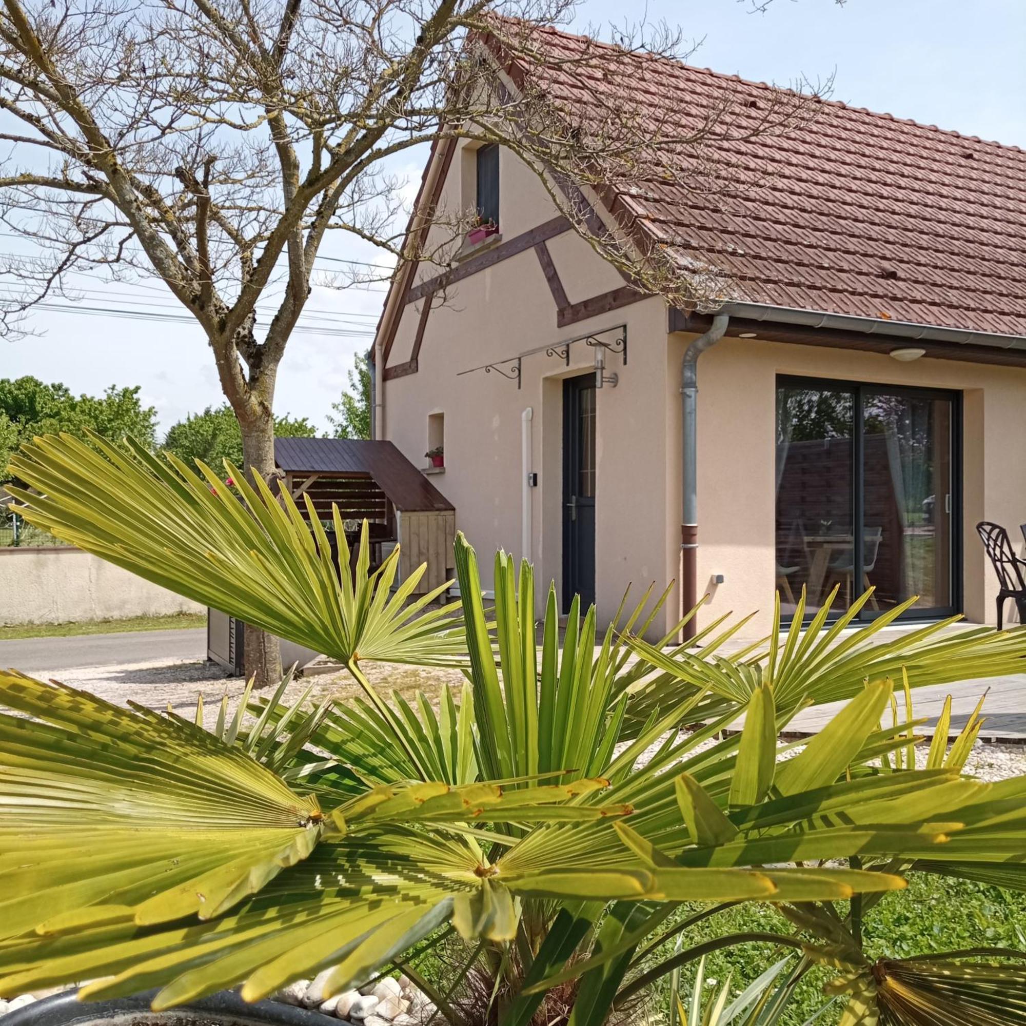L'Albizia Gite Climatise St Maurice Saint-Maurice-en-Riviere Exterior photo